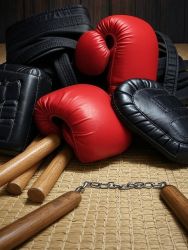 Martial Arts Gear: Equip Yourself for Discipline and Power Image Martial Arts Gear: Equip Yourself for Discipline and Power Image