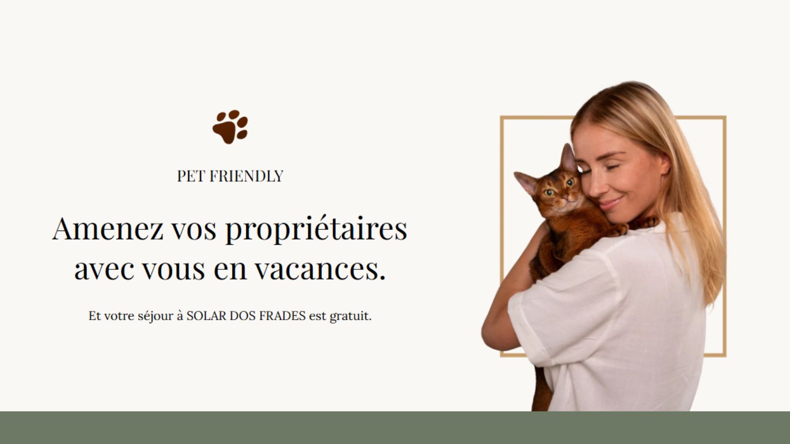 pet friendly
