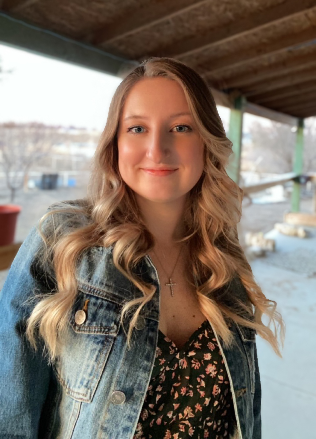 Contact Details, Communication Thread and Internal Comments