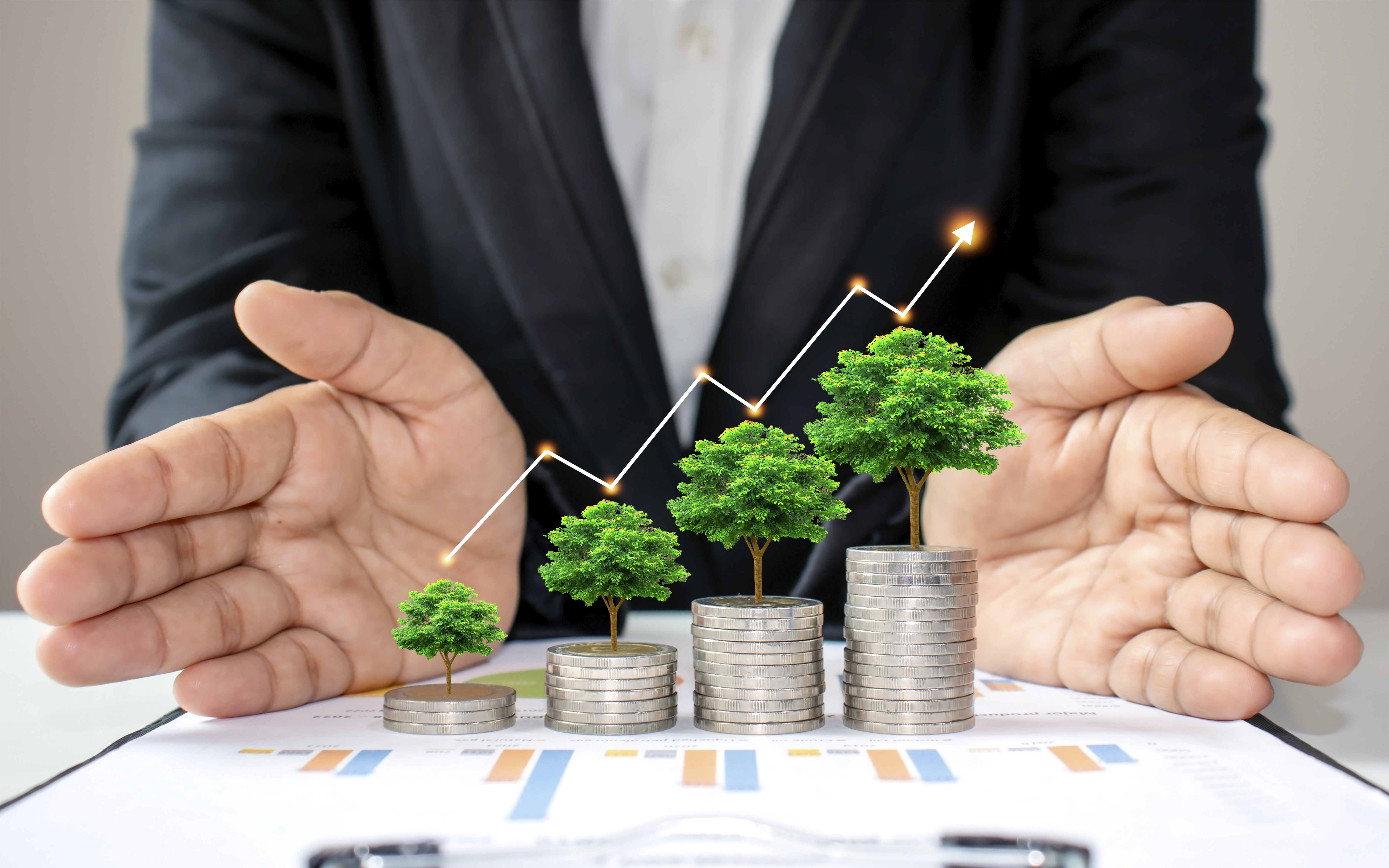 business growth