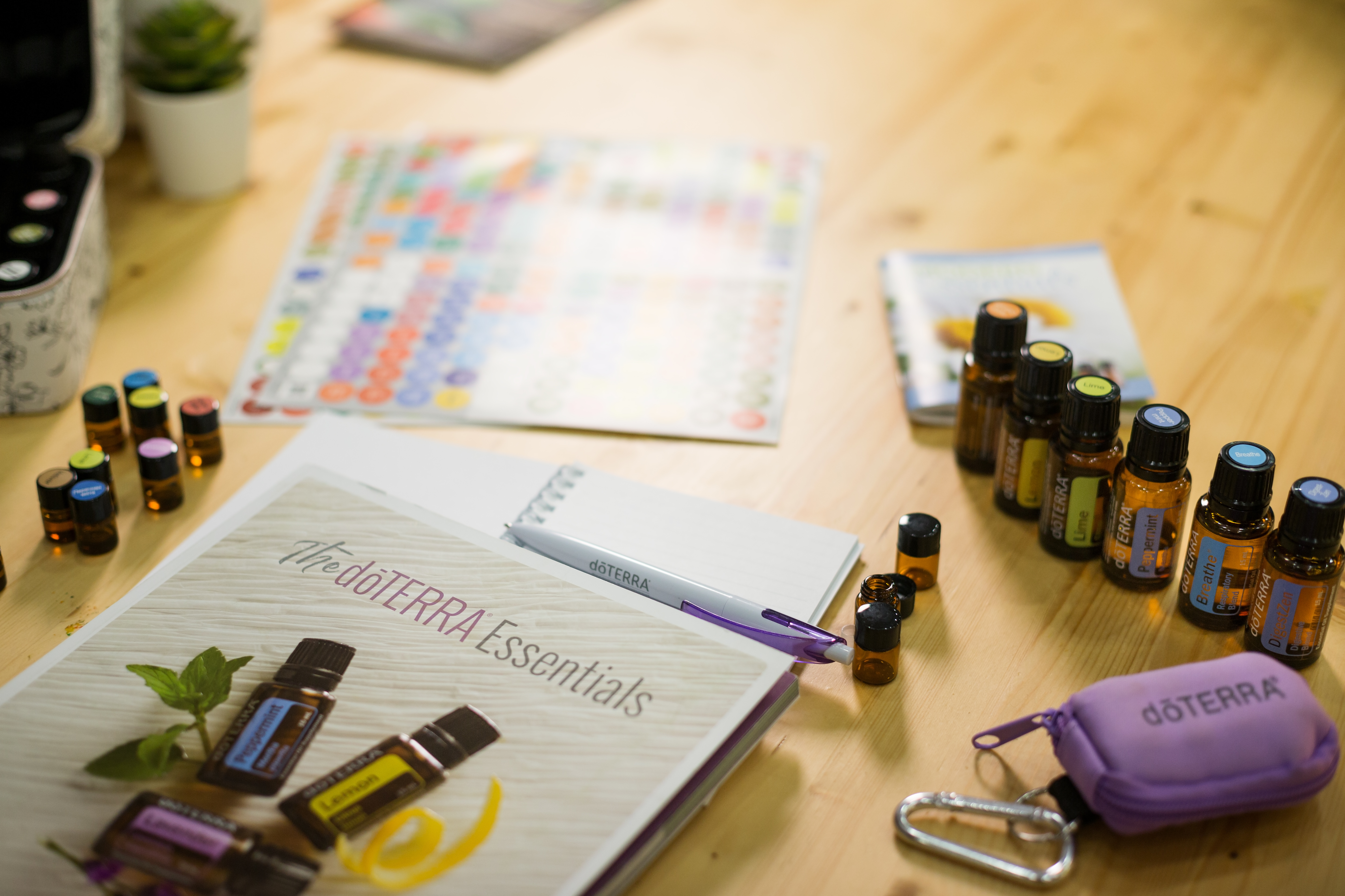 Doterra Workshop