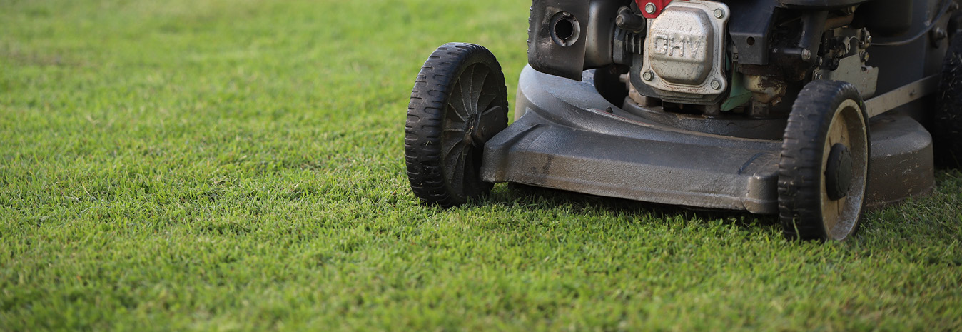 Millzy mowing