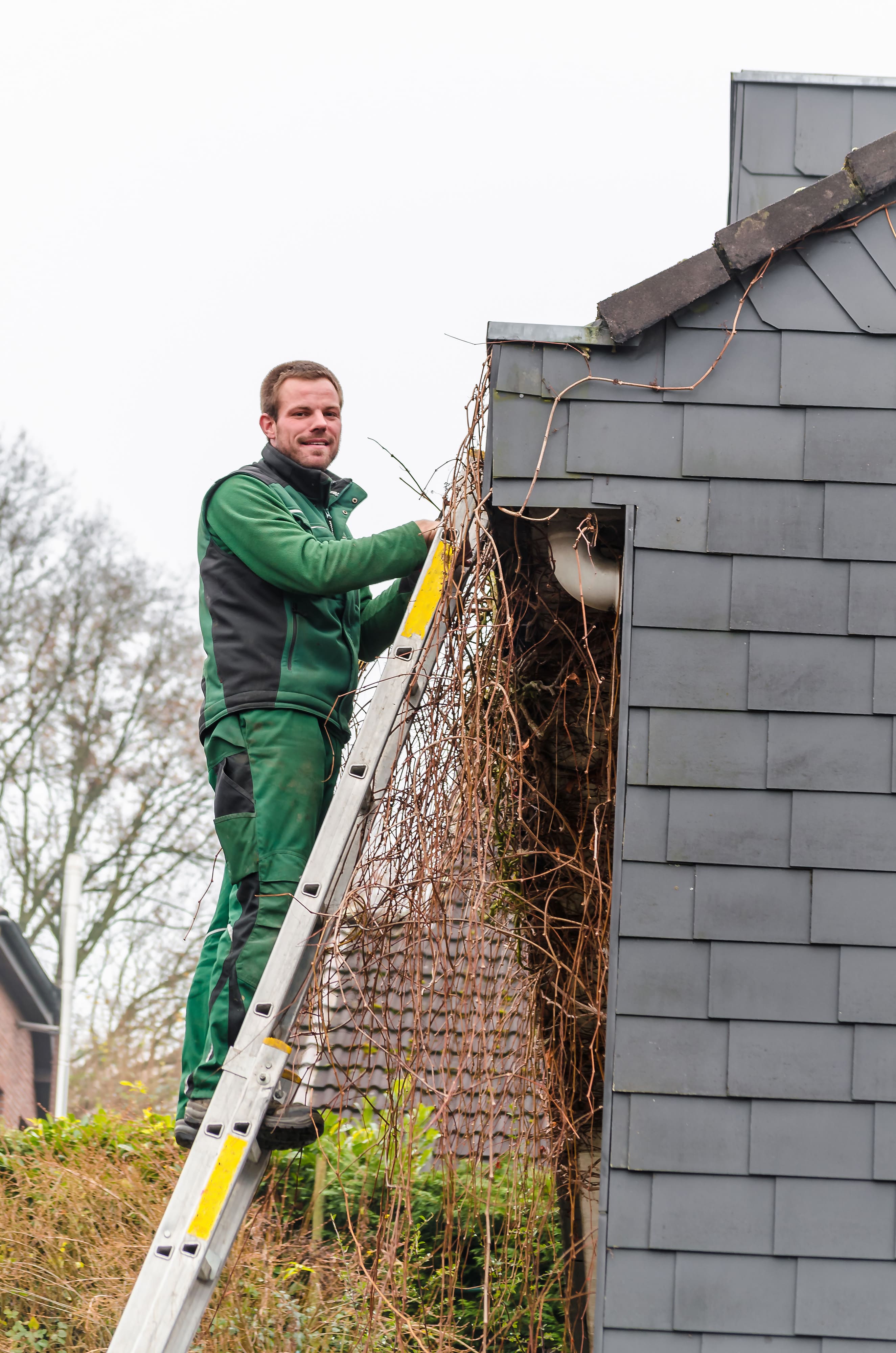 expert cleaning the gutter