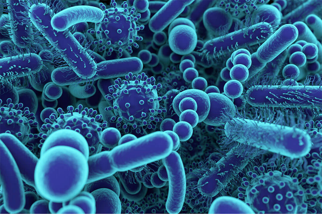 Healing Your Gut: The Microbiome's Role