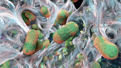 Proteolytic or fibrinolytic enzymes that break down proteins in the biofilm walls, exposing the microbes inside Proteolytic or fibrinolytic enzymes that break down proteins in the biofilm walls, exposing the microbes inside