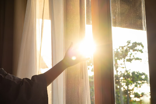 holding sunlight holding sunlight