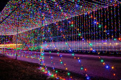 Festival of Lights 2025