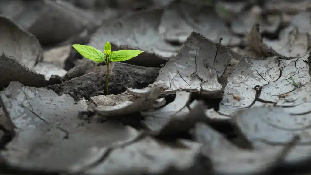 Construction Sites and Natural Disasters: Staying Operational Against the Odds