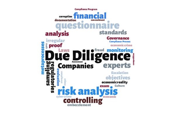 Due Diligence