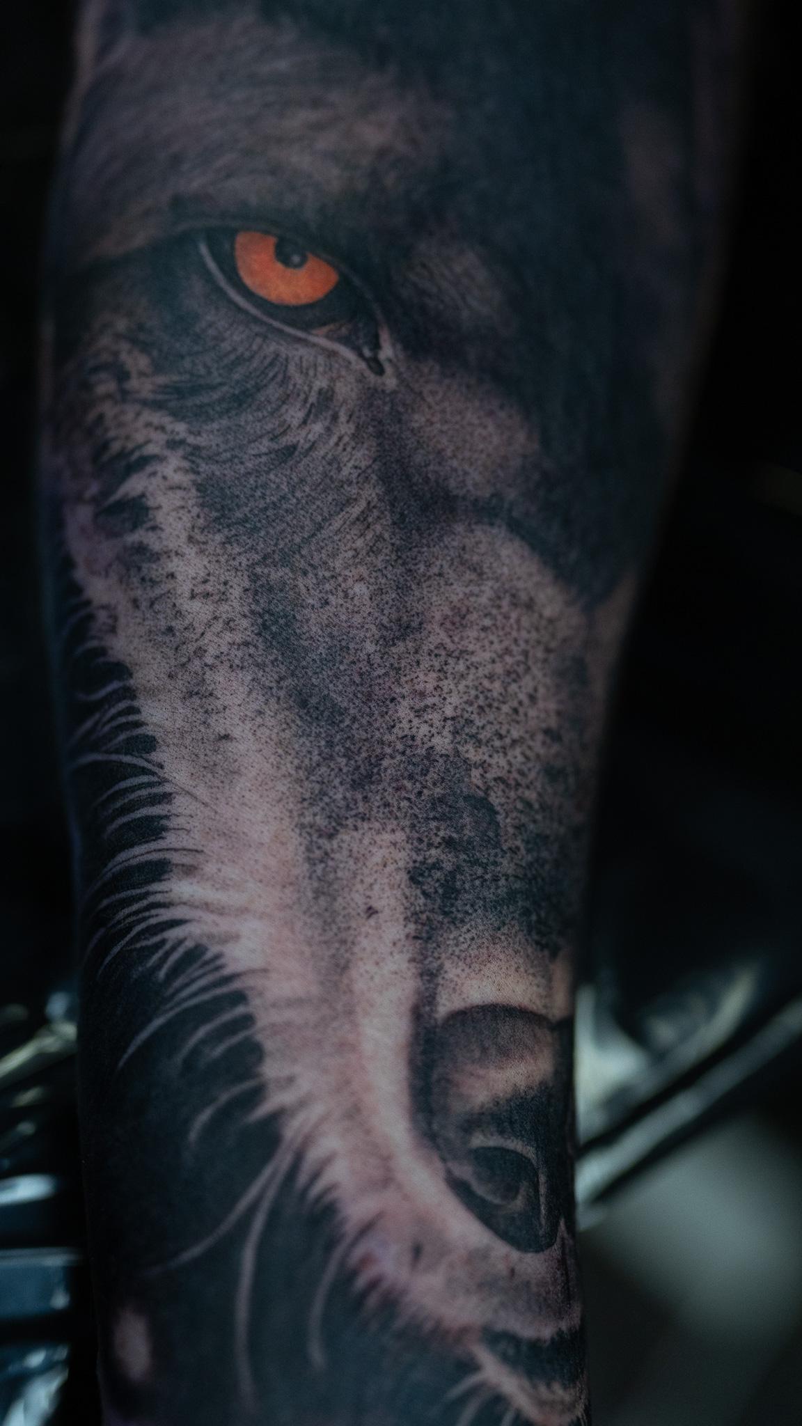Wolf Tattoo by Mickey Schlick Wolf Tattoo by Mickey Schlick