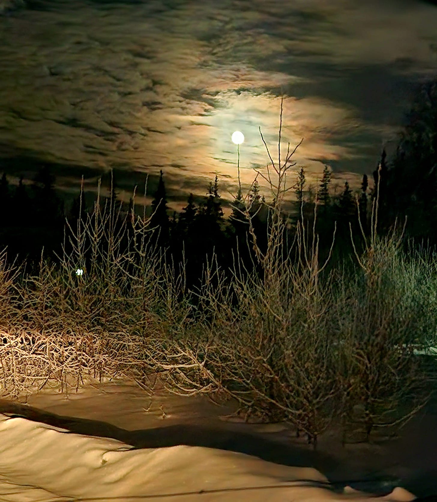 photo by Naomi Caskey photo by Naomi Caskey