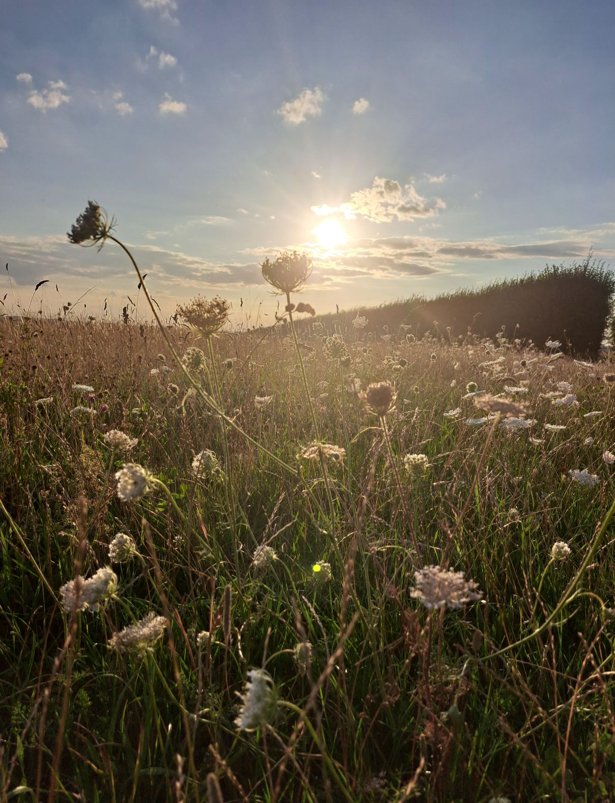 Vitamin N - Midlife Women Are Craving Vitamin N - Midlife Women Are Craving