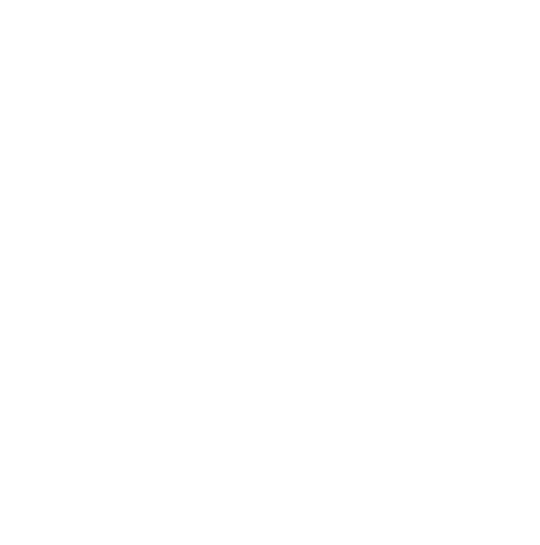 PPF Germany Logo
