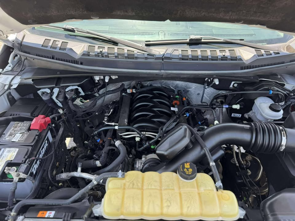 2019 Crew Cab Truck