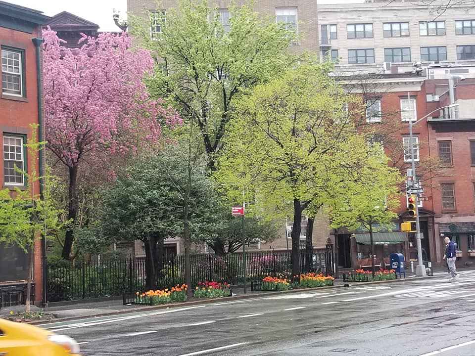 flower sidwalk in nyc