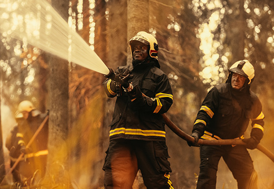 feu de forêts
