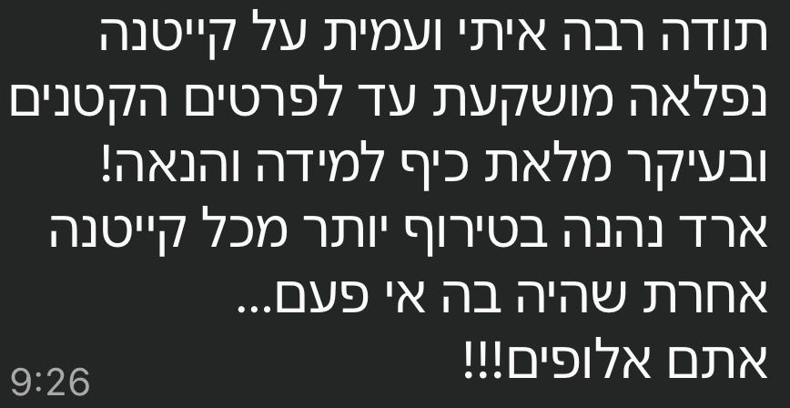 ביקורת