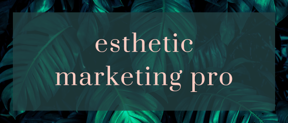 esthetic marketing pro logo