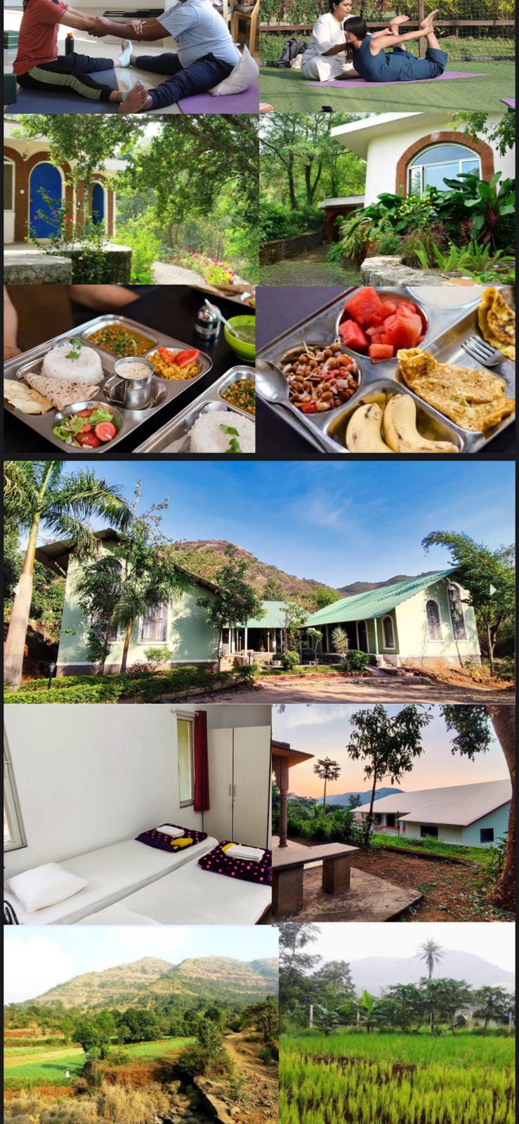 Ayurvedic herbs and healing tools representing holistic fertility treatments