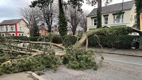Public Adjuster Near Me Public Adjuster Near Me