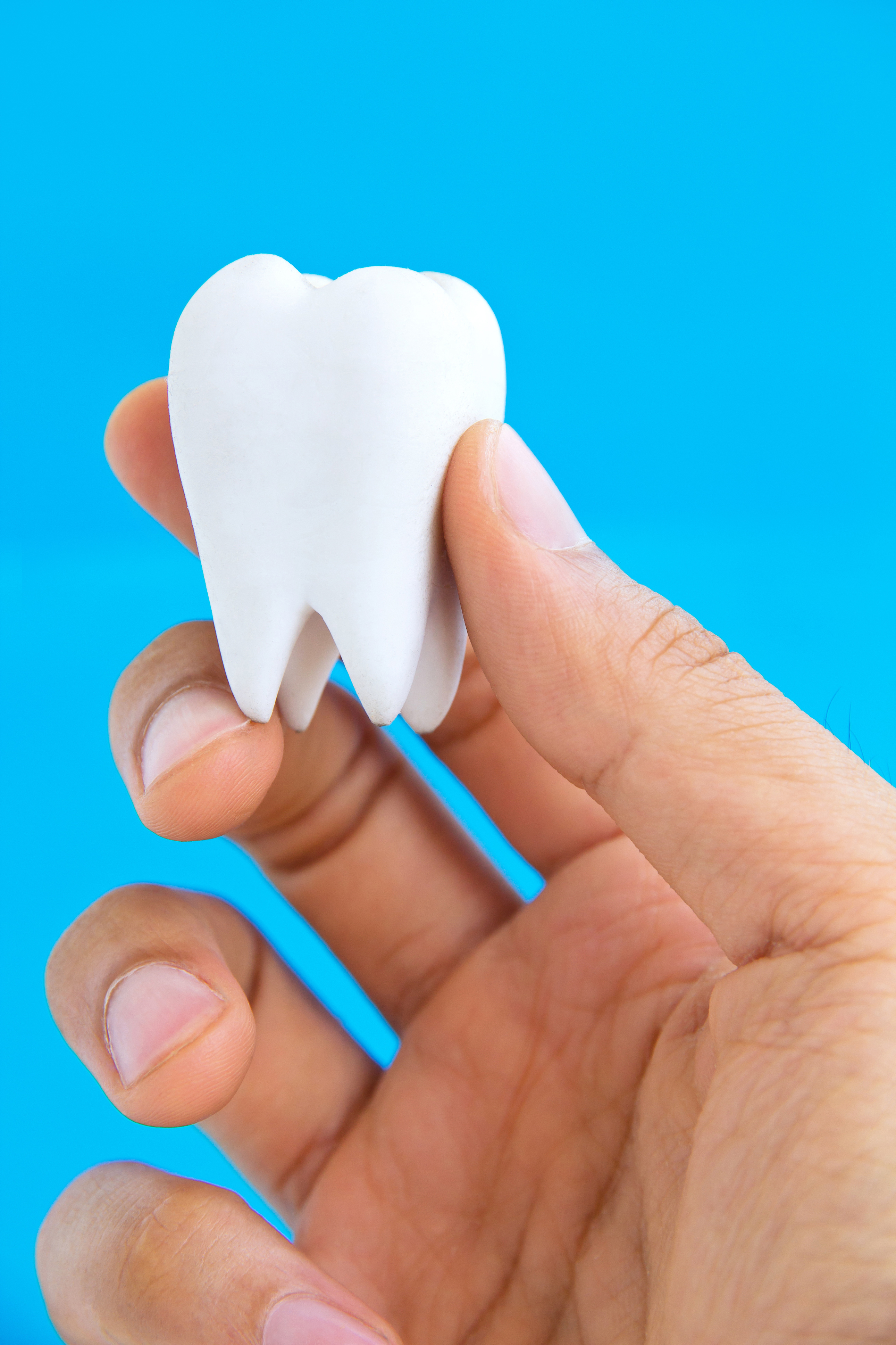 a person holding a tooth