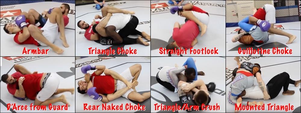 Techniques from Jiu Jitsu