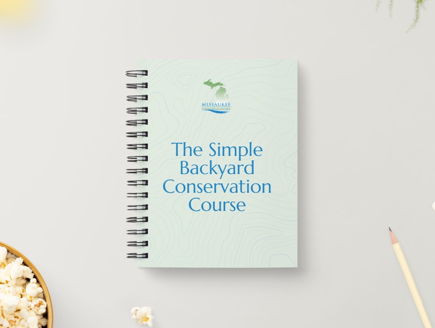 MCD Lead magnet MCD Lead magnet