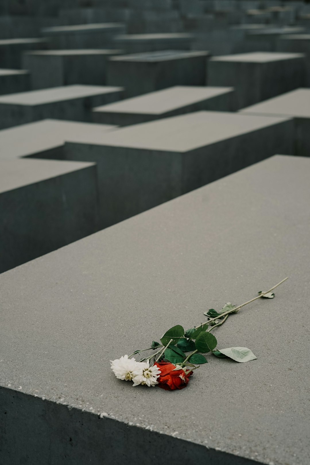 Life Insurance Document Signing