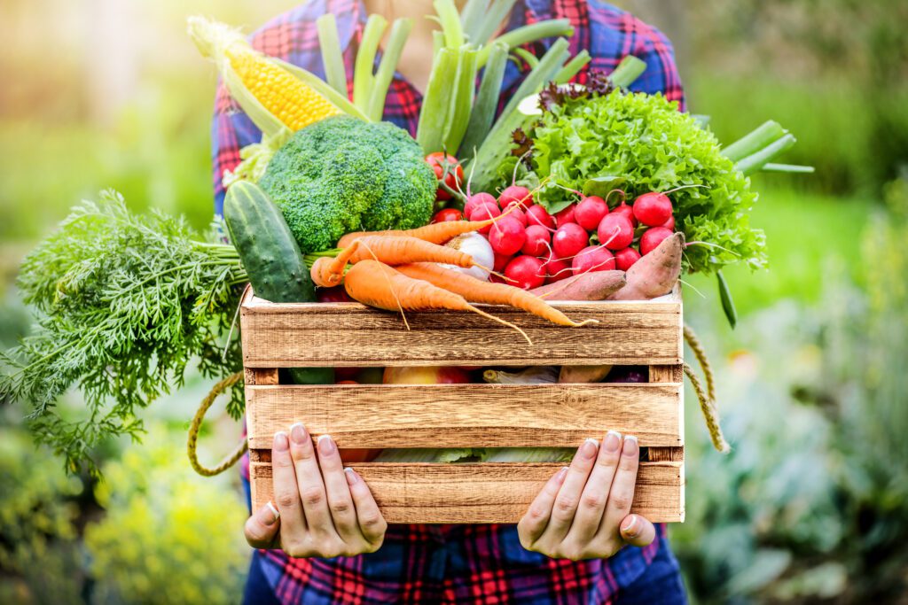 Harnessing the Potential of National Fruit and Vegetable Month for Preventative Wellness