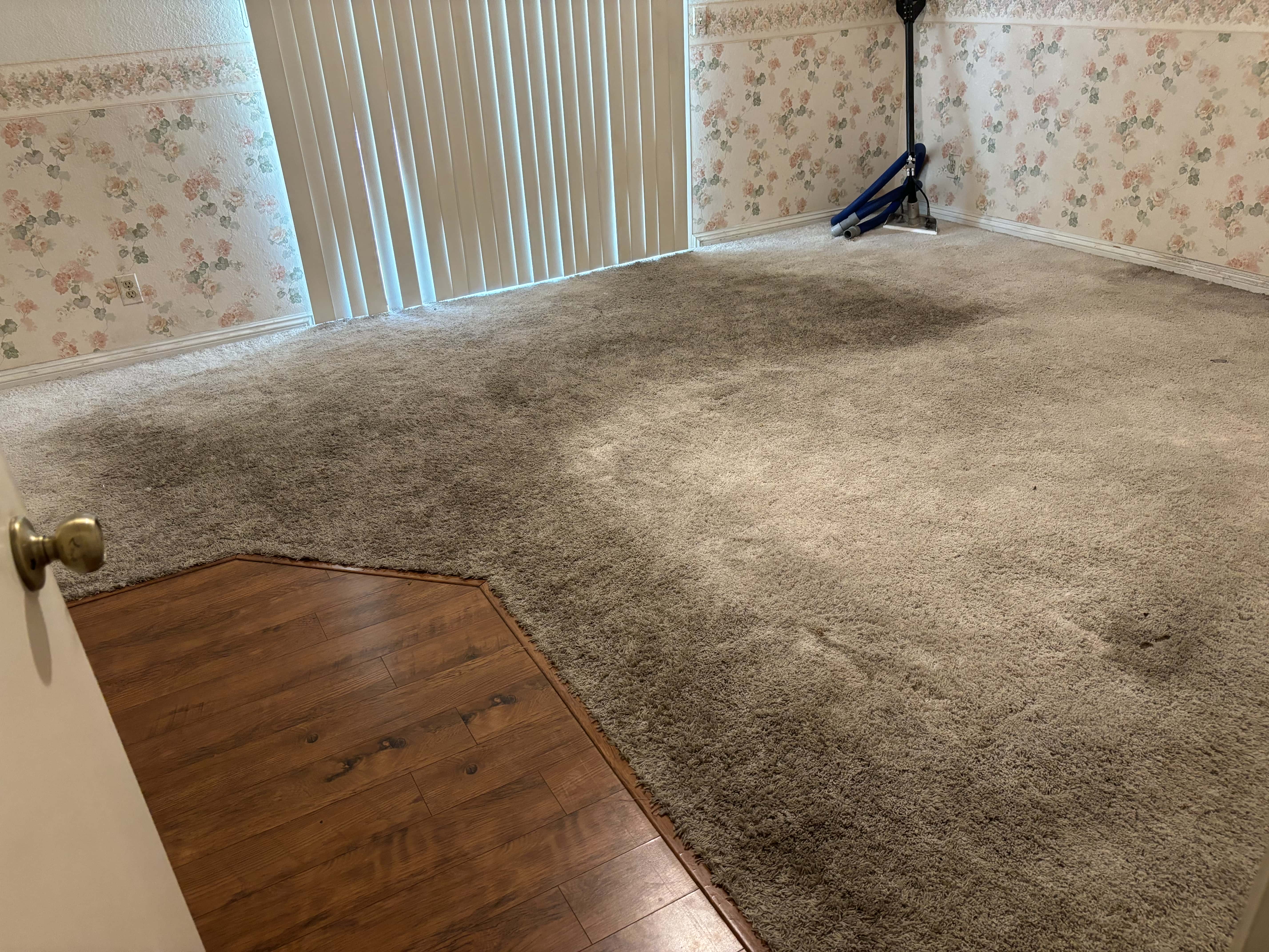 Before — residential carpet cleaning in Menifee