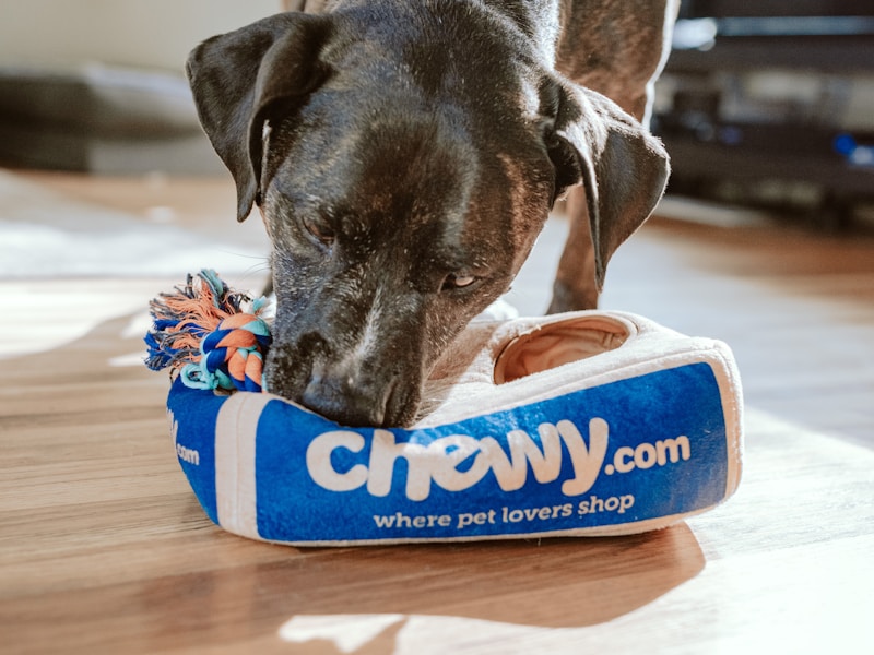 Pet Store Business Challenge