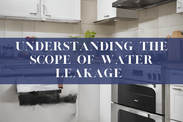Understanding the Scope of Water Leakage Understanding the Scope of Water Leakage