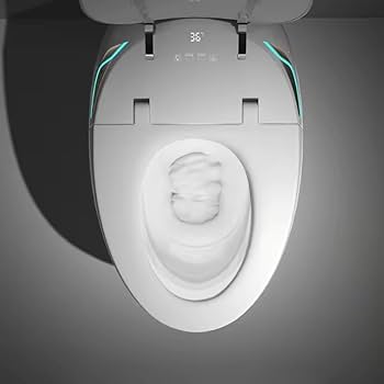 Back Up Toilet