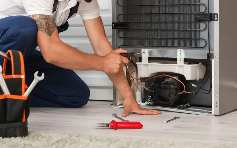 Summer refrigerator maintenance Summer refrigerator maintenance