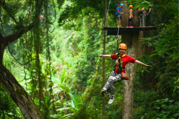 ziplining ziplining