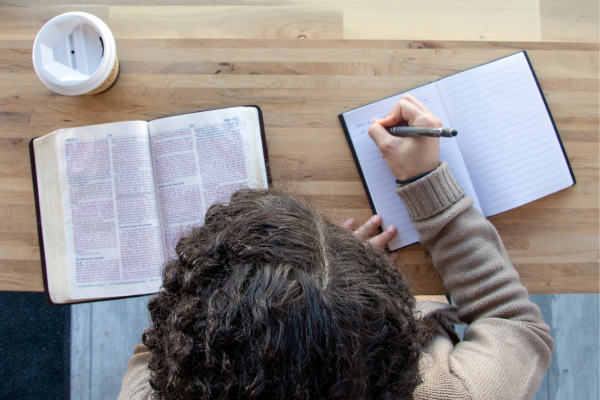 a woman studying the Bible a woman studying the Bible