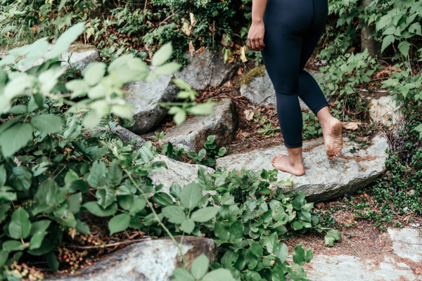 holistic wellness assessment holistic wellness assessment