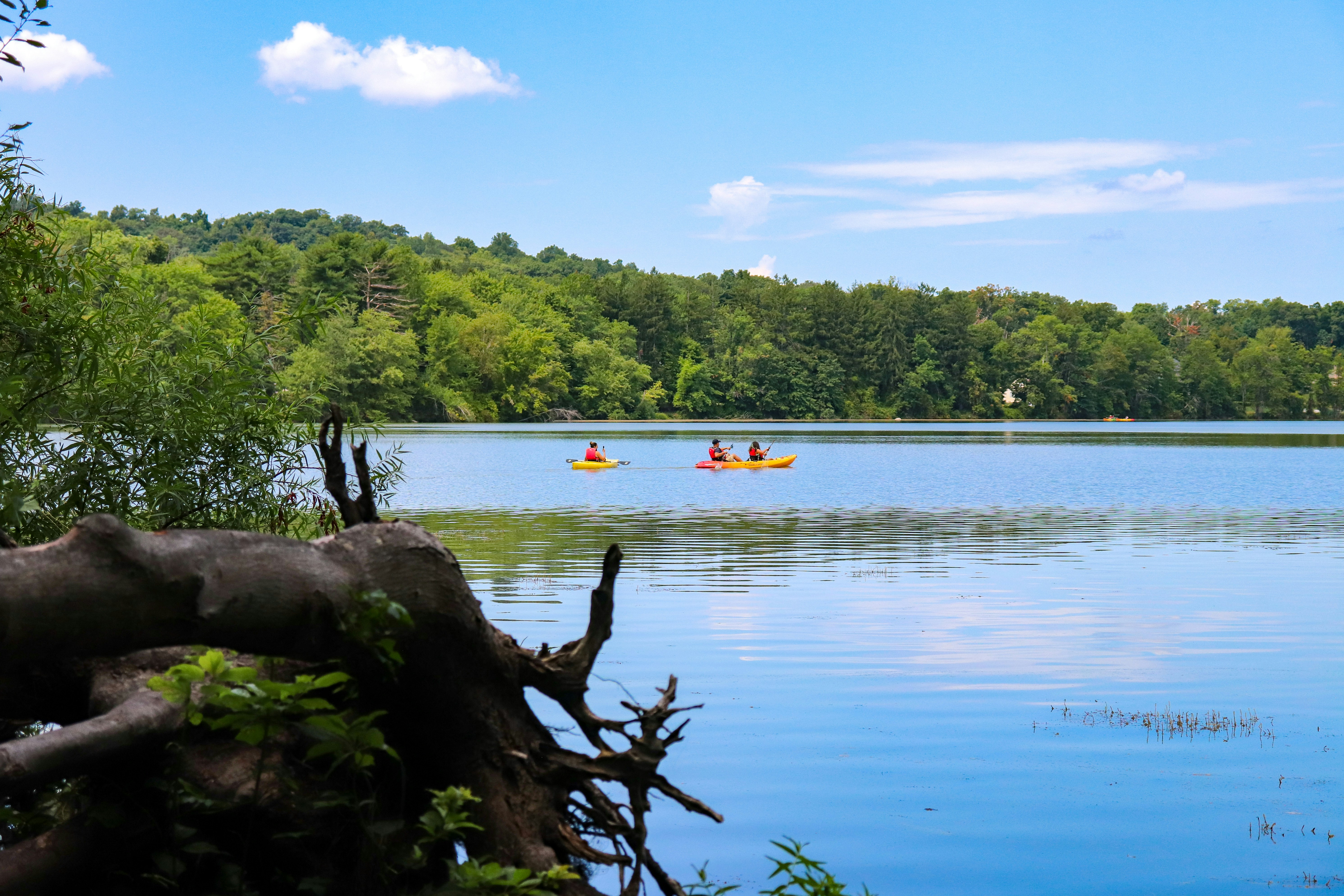kayak