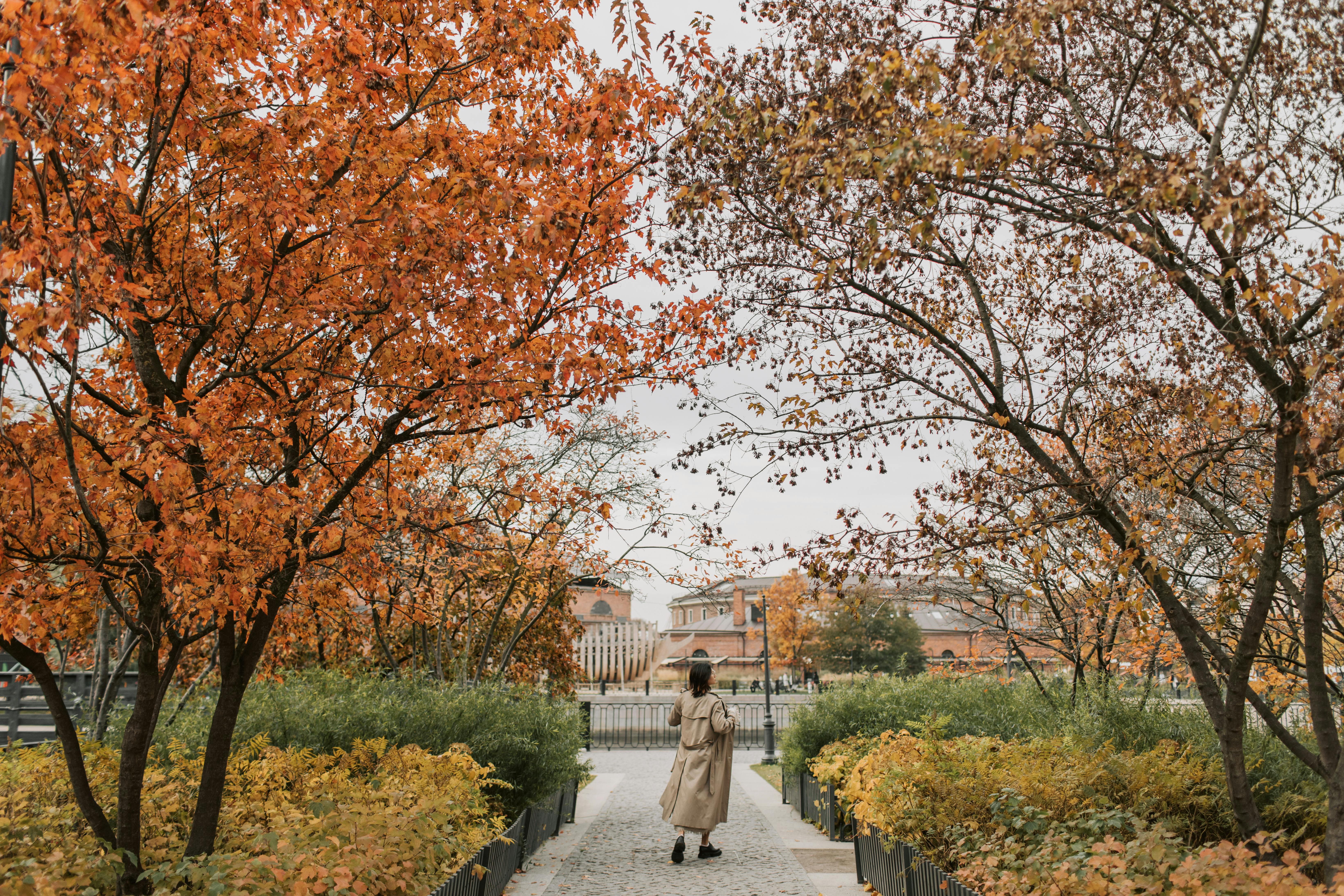 Single Homebuyers in Huntersville: Safe, Walkable, and Social Neighborhoods to Know
