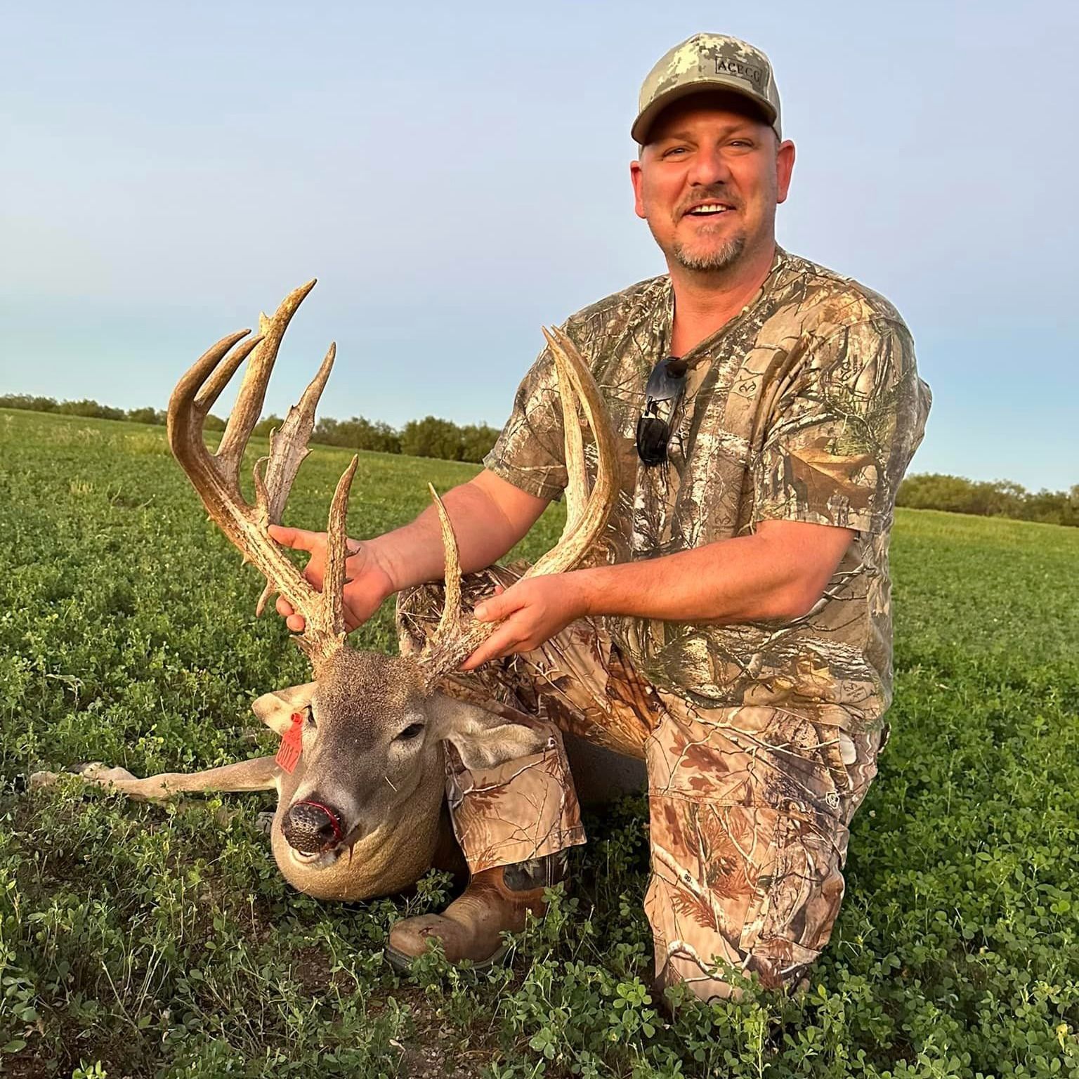 Whitetail Deer Hunting In Texas