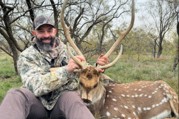 Hunting Axis Bucks in Texas