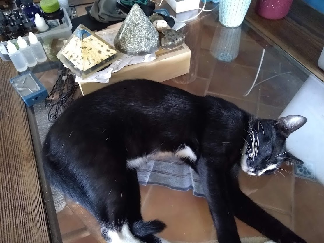 Black and white cat peacefully sleeping on a glass table surrounded by pyramids and various items, creating a cozy workspace scene. Black and white cat peacefully sleeping on a glass table surrounded by pyramids and various items, creating a cozy workspace scene.