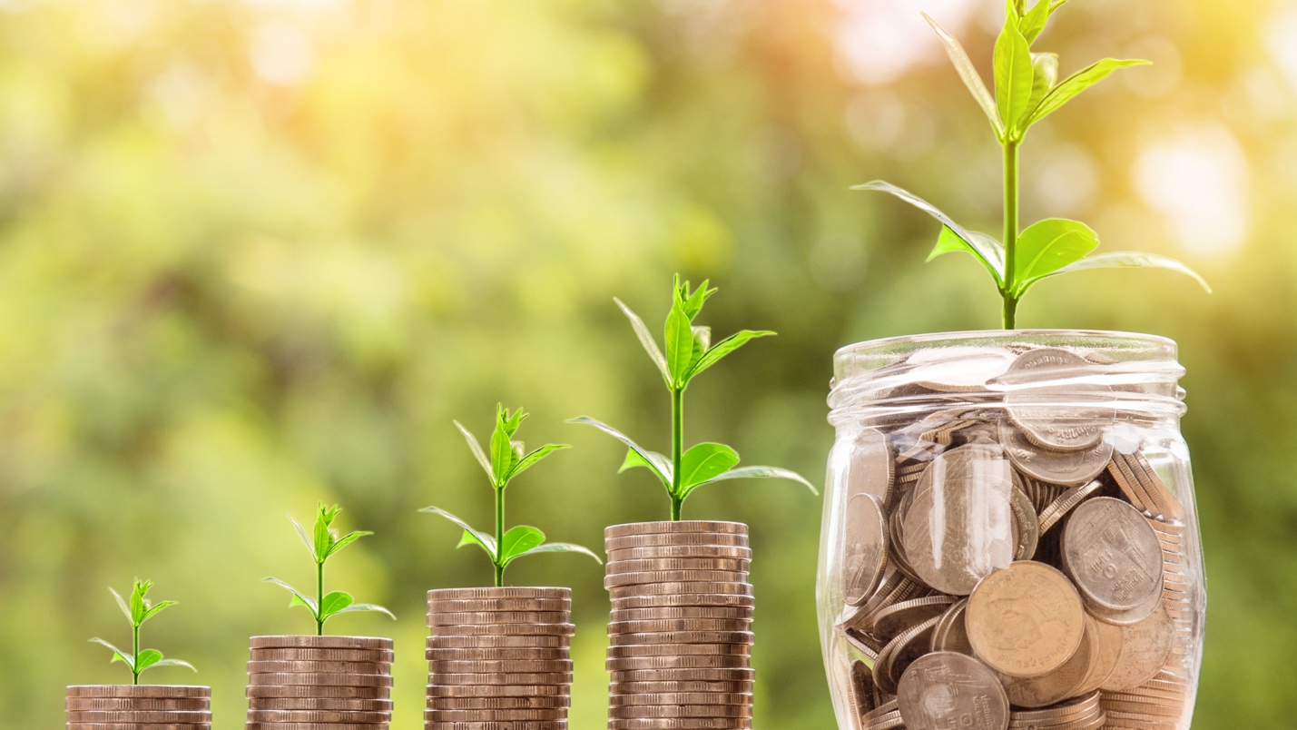 Stacks of coins and a jar with growing plants symbolizing financial growth and sustainability. Stacks of coins and a jar with growing plants symbolizing financial growth and sustainability.