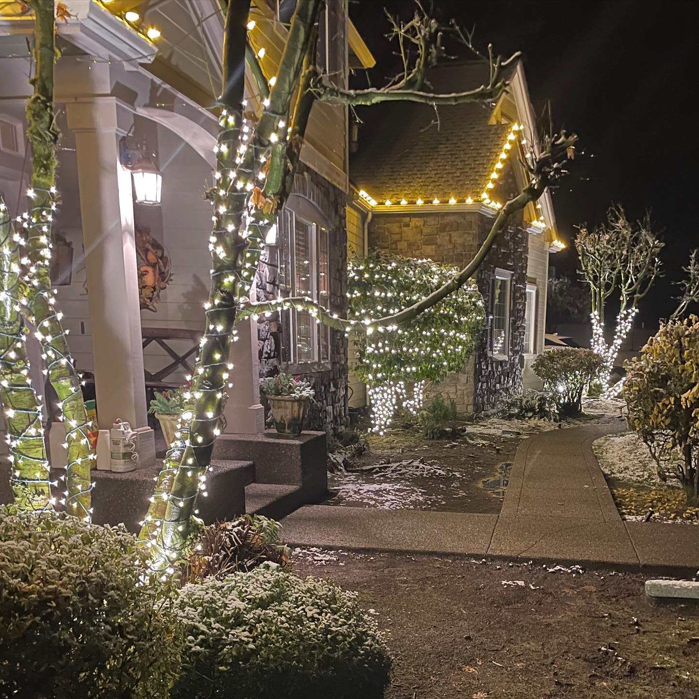 Olympia Christmas Lights LED lighs