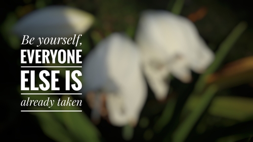 You be you and I'll be me