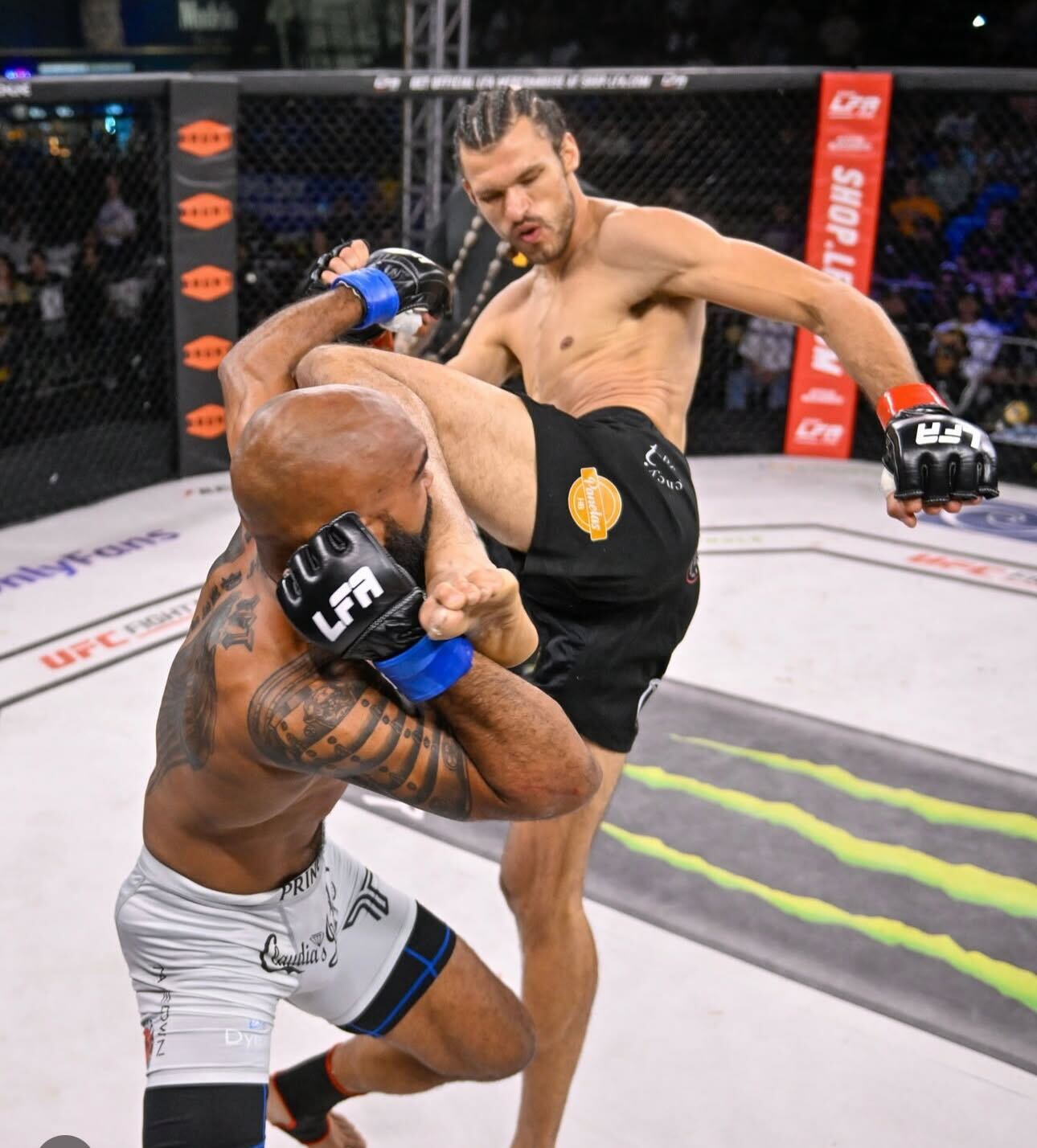 Luis Francischinelli roundhouse kick