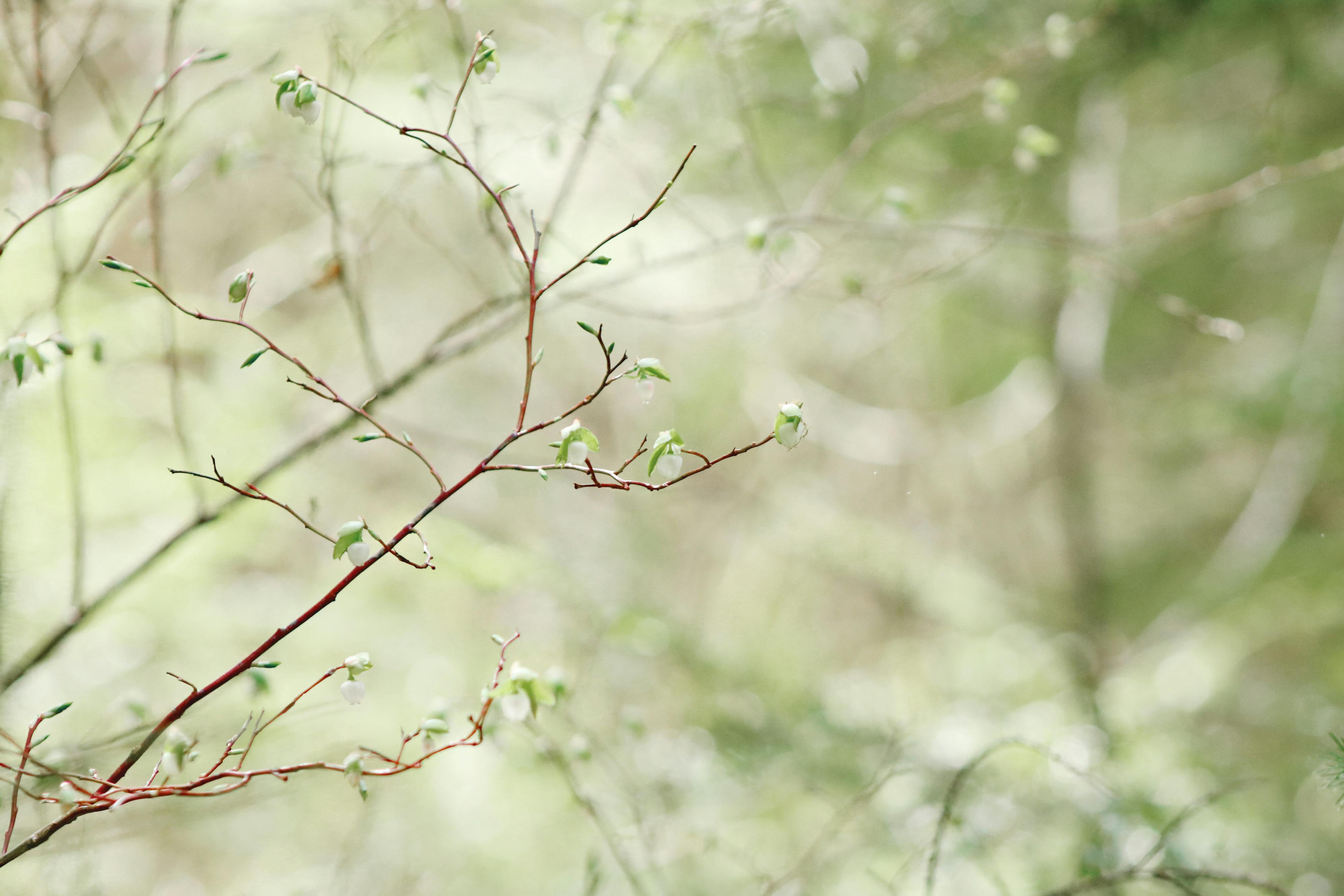 🌿 When Medications Feel Scary: Understanding Sensitivity and Finding Peace