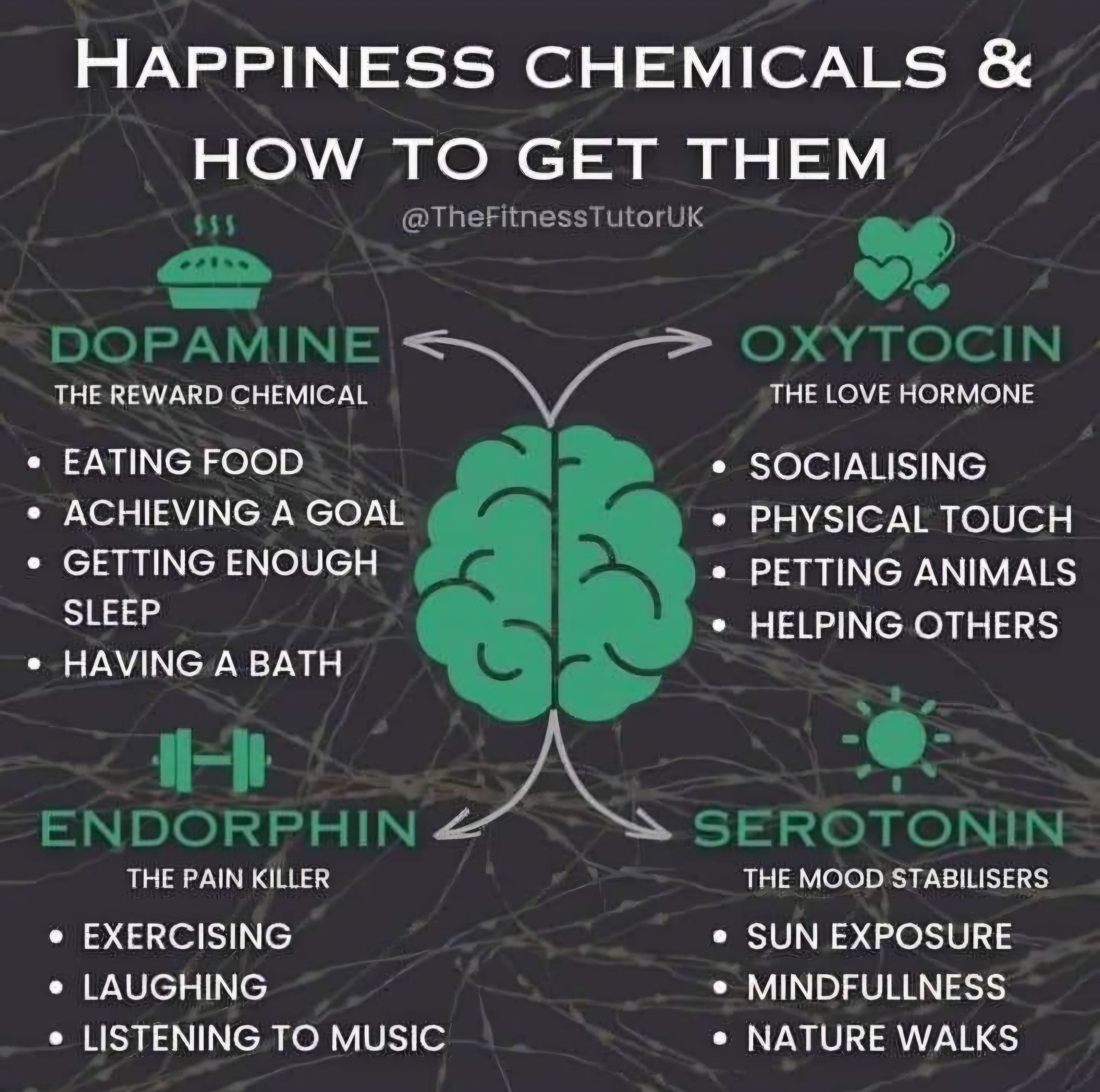 Happiness Chemicals ~ And how to get them!