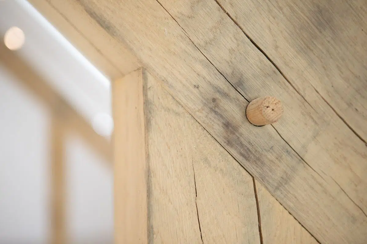 Close-up of oak wood joinery featuring a wooden peg in a garden room structure, emphasizing craftsmanship and natural materials.