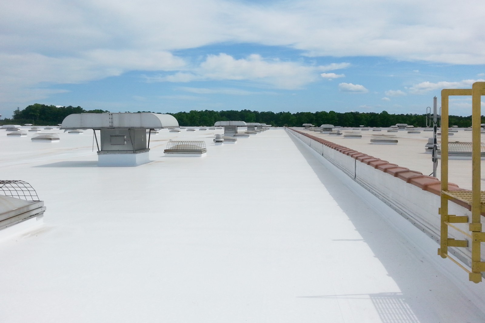 commercial building with flat roof system